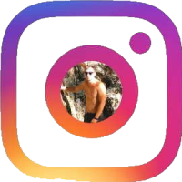 instagram.com/evgeni_elec72.ru instagram.com